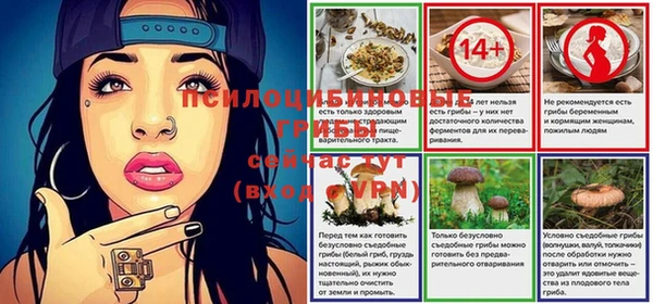 МДПВ Волосово