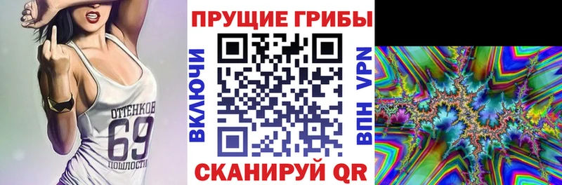 где купить наркоту  Гвардейск  Галлюциногенные грибы MAGIC MUSHROOMS 